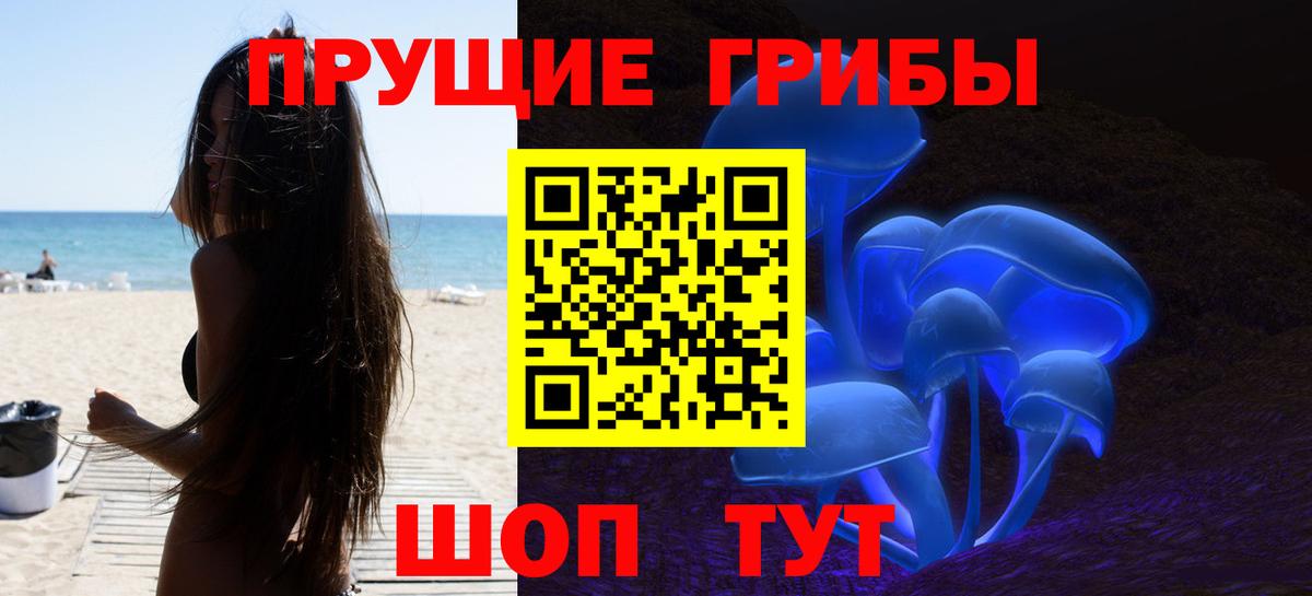 Губкинский  Галлюциногенные грибы прущие грибы  Вход с VPN 